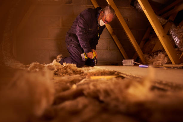 Best DIY Insulation Kits and Guidance in Denison, TX